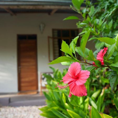 Kendwa Breeze Bungalows Exteriör bild